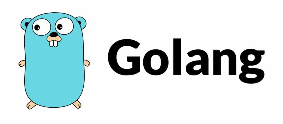Gin Framework: Elevate Your Go Web Development with Speed and Elegance